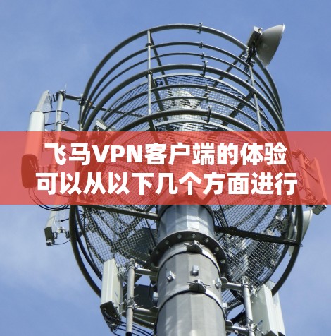 <strong>飞马VPN客户端</strong>的体验可以从以下几个方面进行分析