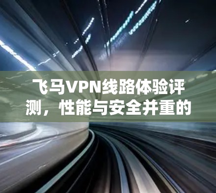 飞马VPN线路体验评测，性能与安全并重的通信解决方案